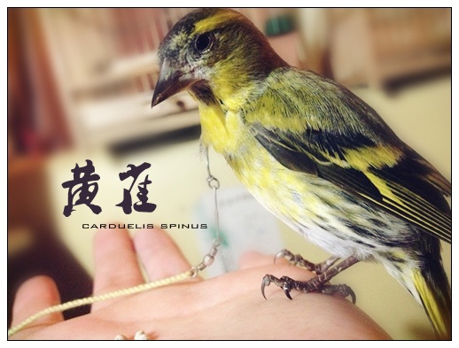 IMG_1767_副本.jpg