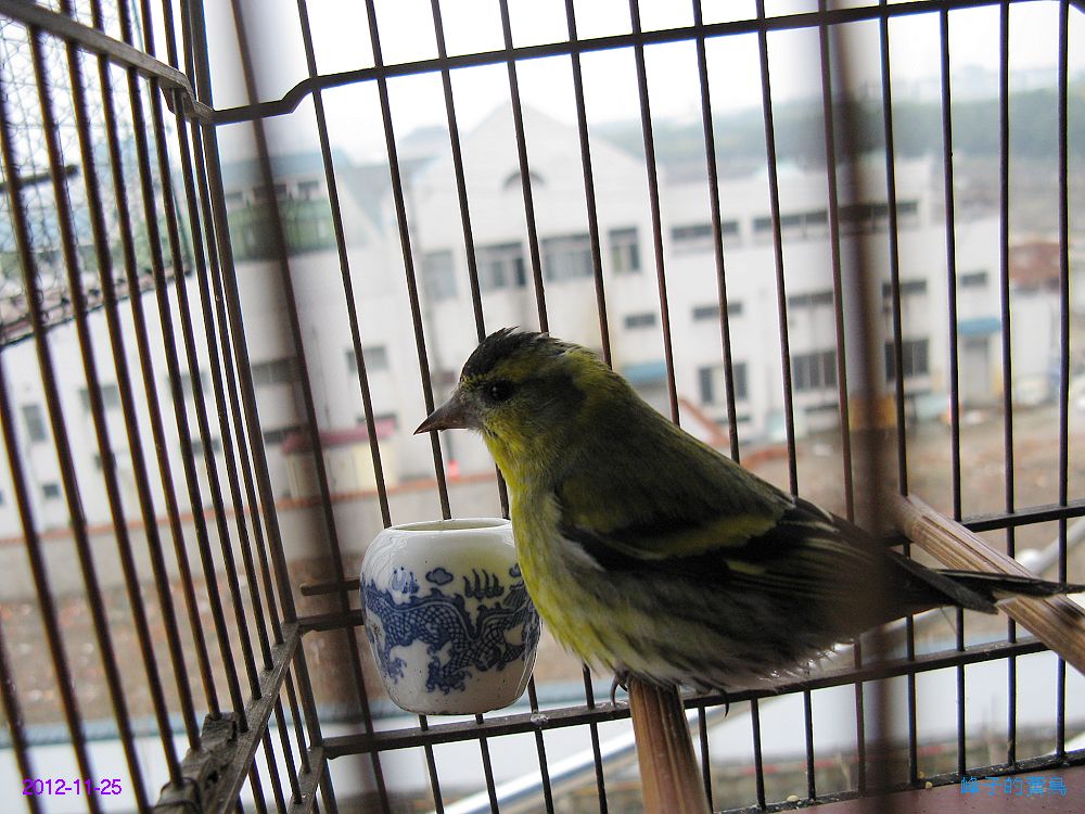 IMG_9914.jpg