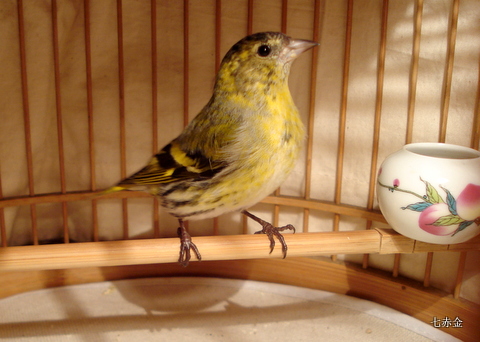 DSC00211.JPG