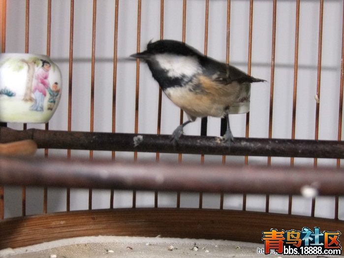 照片 444.jpg