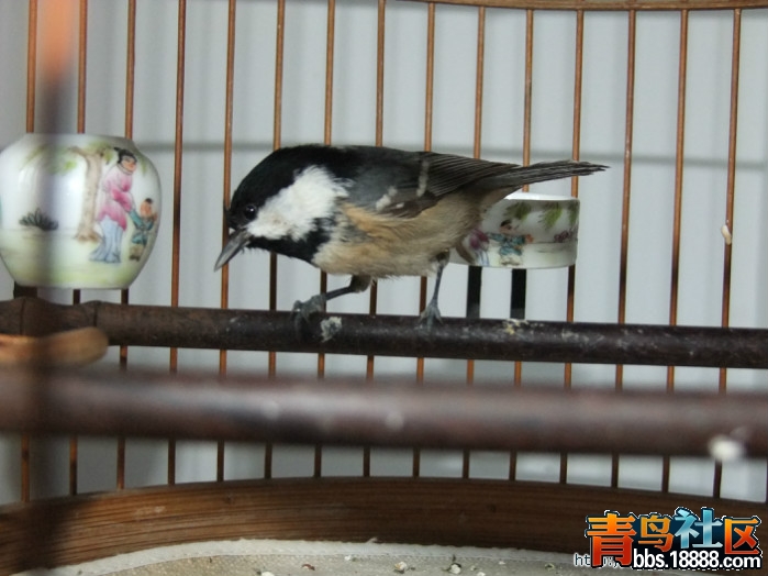 照片 443.jpg