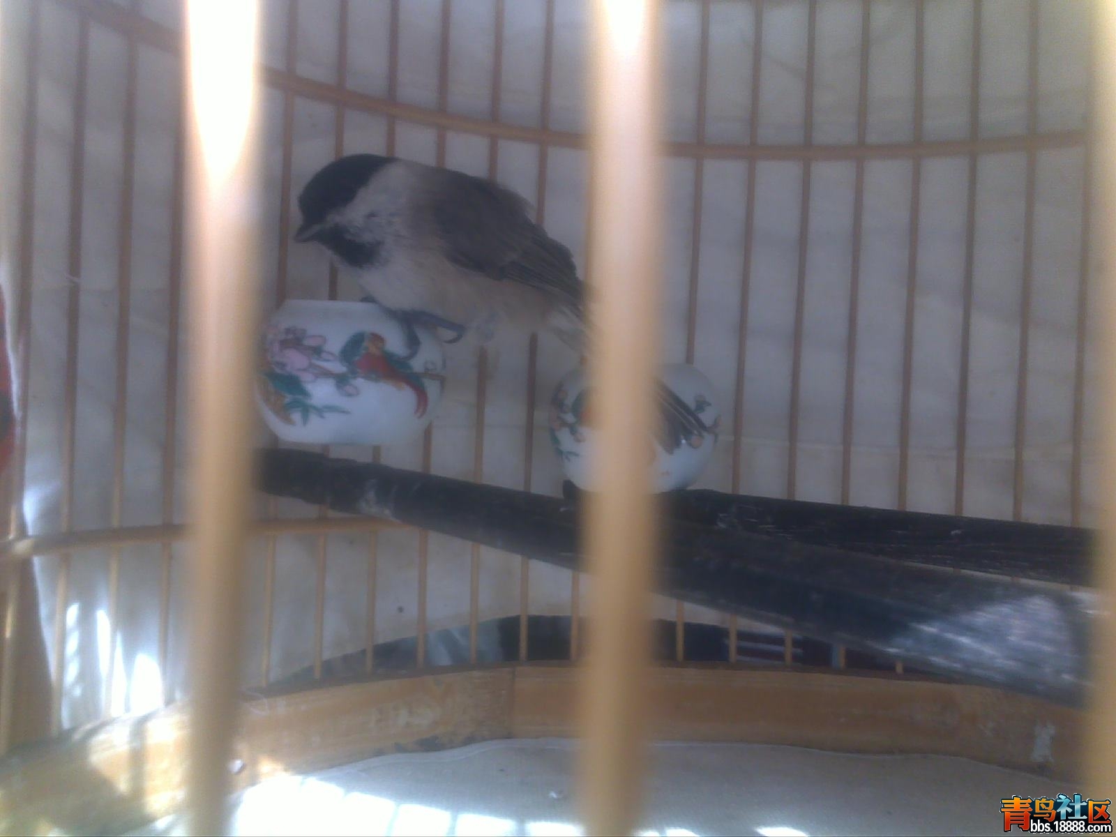 20121128589.jpg