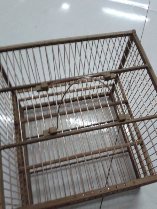 20121116_163953.jpg