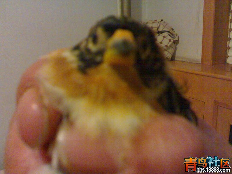 20121030350.jpg