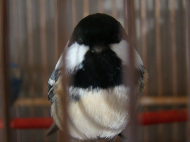 DSC07084.JPG