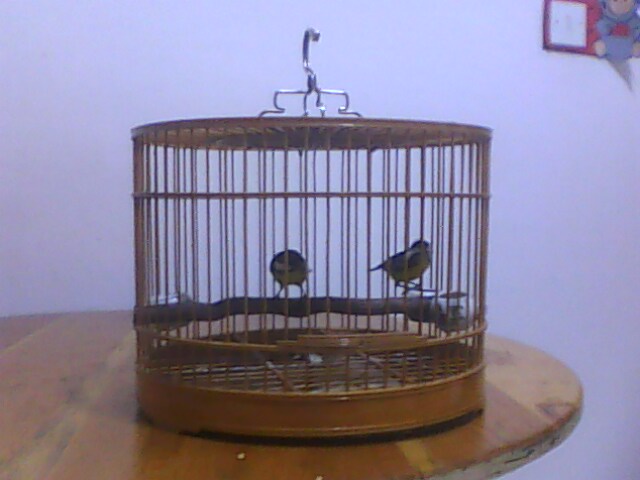 IMG0597A.jpg