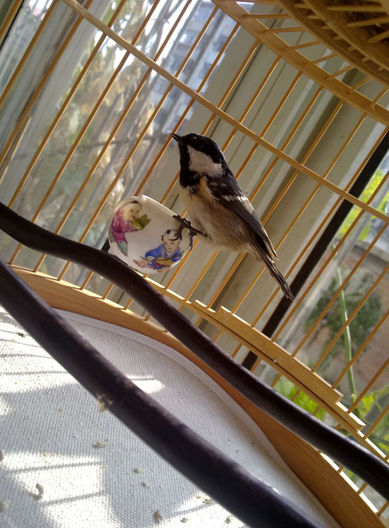 20121109120.jpg