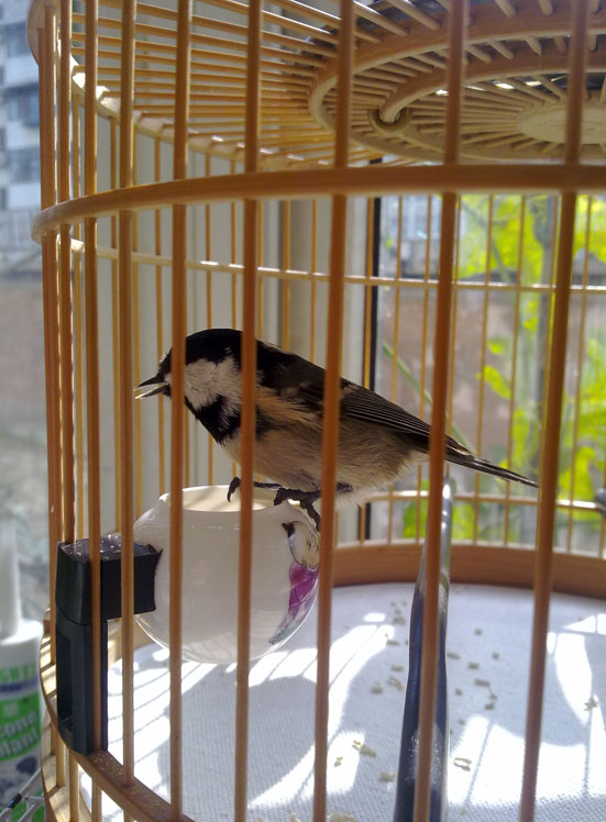 20121109123.jpg