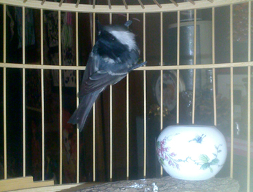 201211052639x.jpg