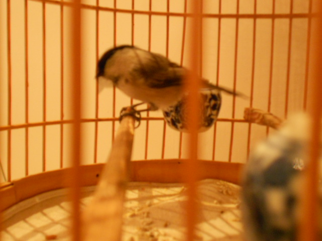 DSCN1443.JPG