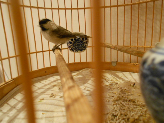 DSCN1439.JPG