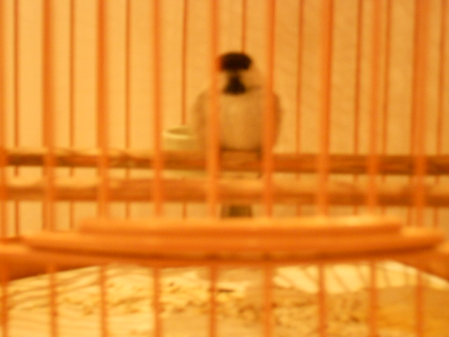 DSCN1425.JPG
