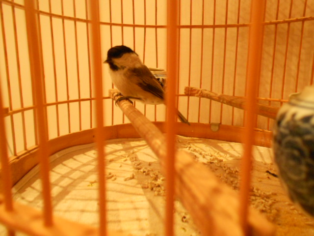 DSCN1438.JPG