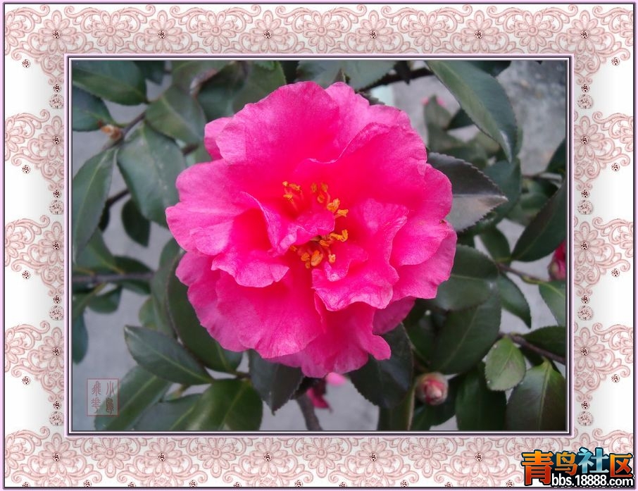 DSCF3631.jpg
