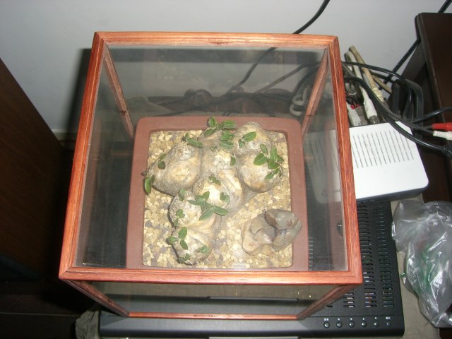 CIMG5637.JPG