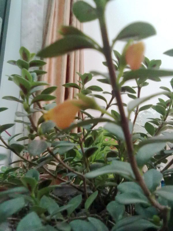 201212061120.jpg