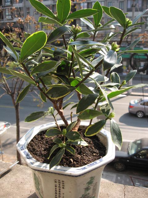 2012-12-12 008.jpg