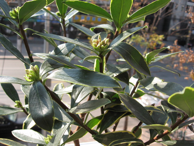 2012-12-12 009.jpg