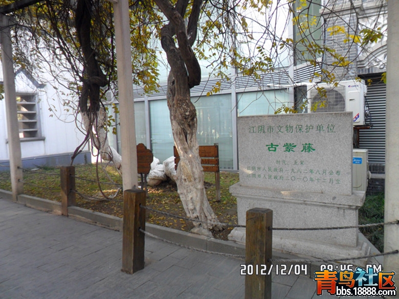 SAM_1562_副本.jpg