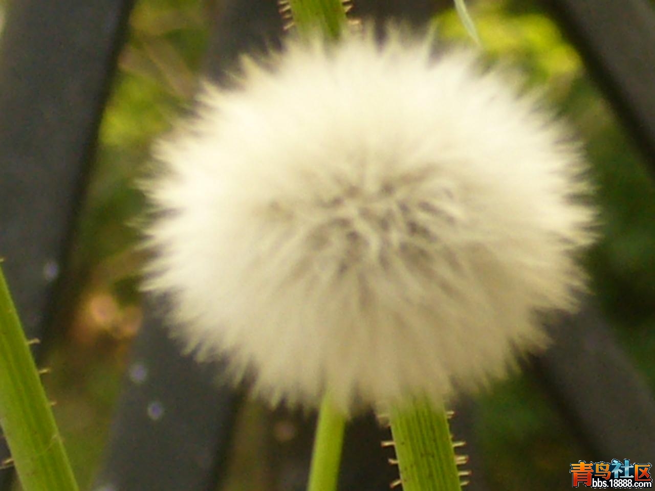 P1010775.JPG