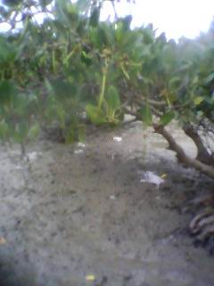 20121201_1518_0.jpg