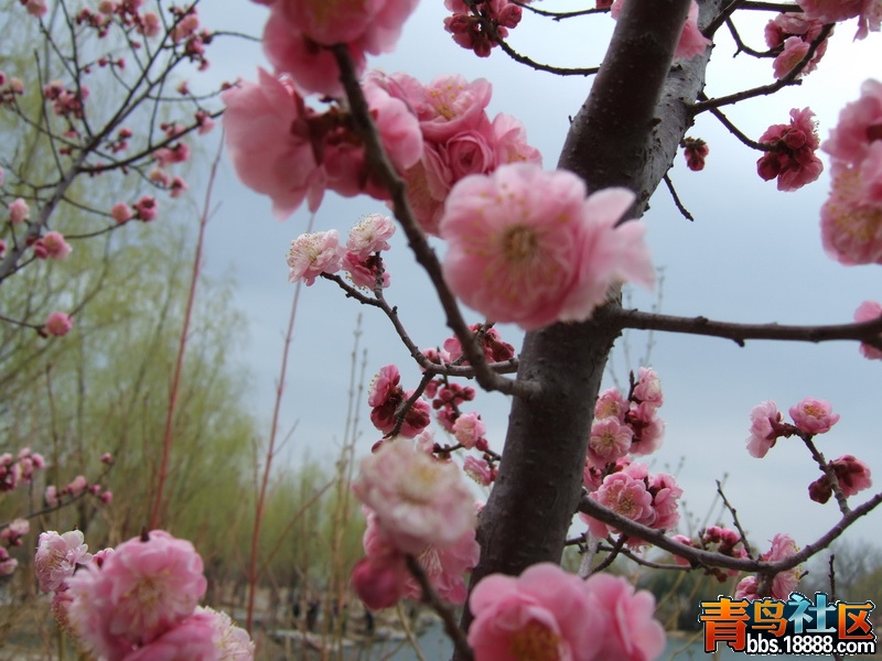 DSCF3142_调整大小.JPG