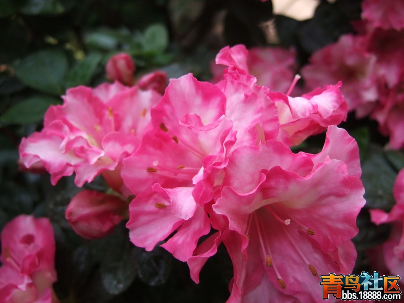 DSCF7233_调整大小.JPG