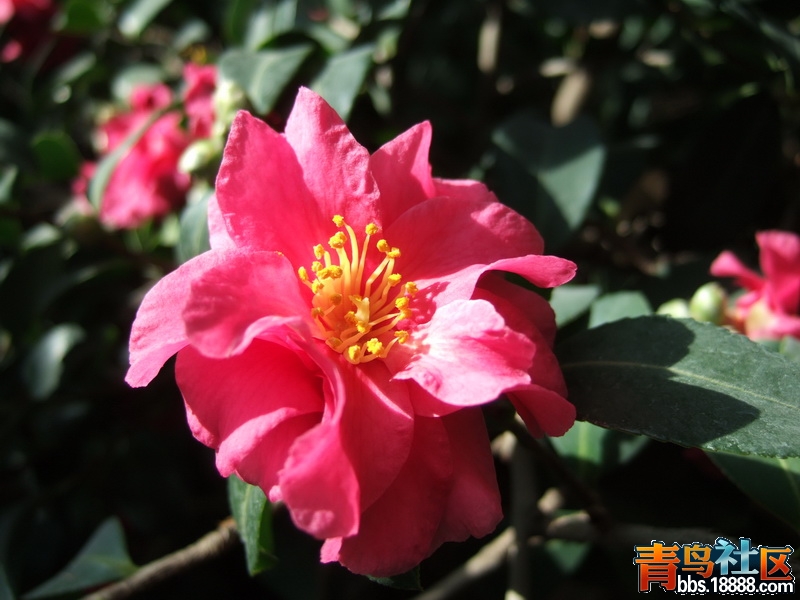 DSCF6507_调整大小.JPG