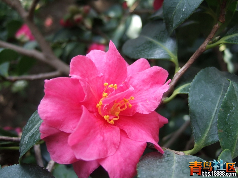 DSCF6506_调整大小.JPG