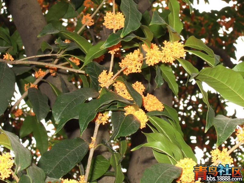 DSCF0987_调整大小.JPG