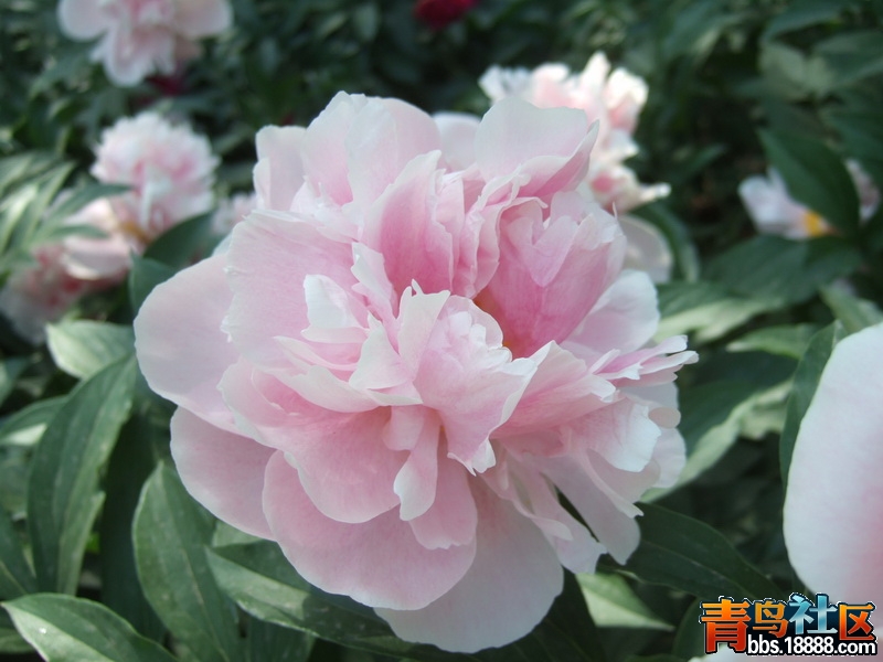DSCF4795_调整大小.JPG