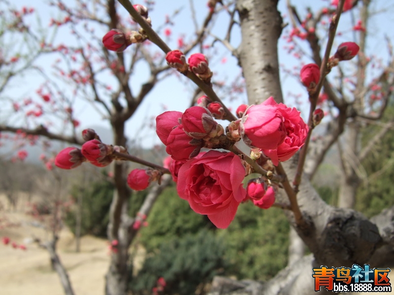 DSCF3384_调整大小.JPG