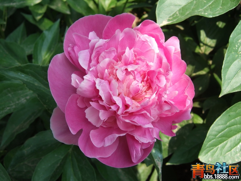 DSCF4370_调整大小.JPG