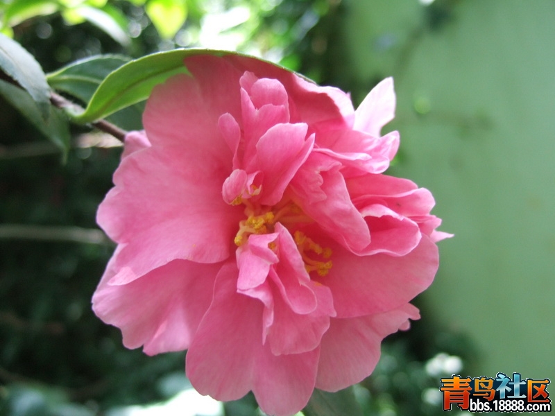 DSCF6513_调整大小.JPG