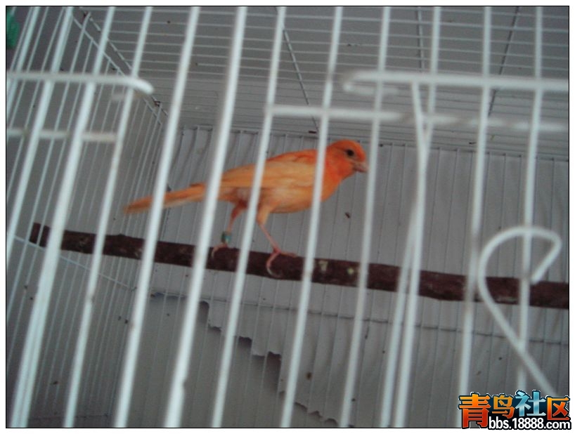 nEO_IMG_DSC02170.jpg