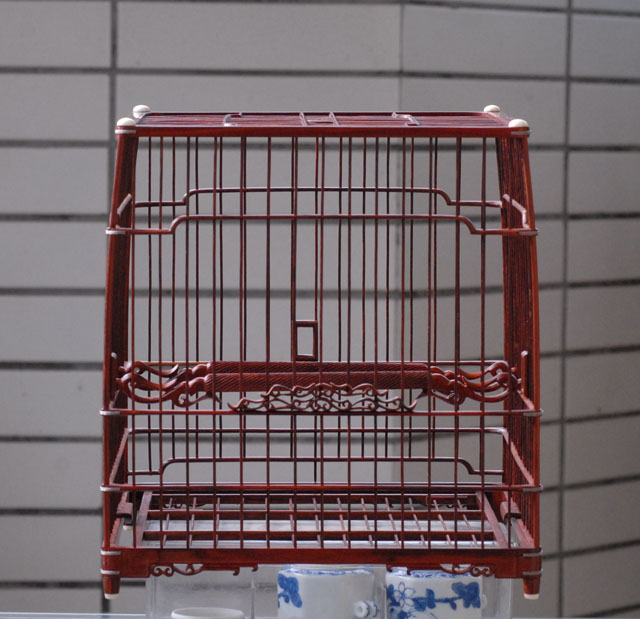 DSC_0028.JPG