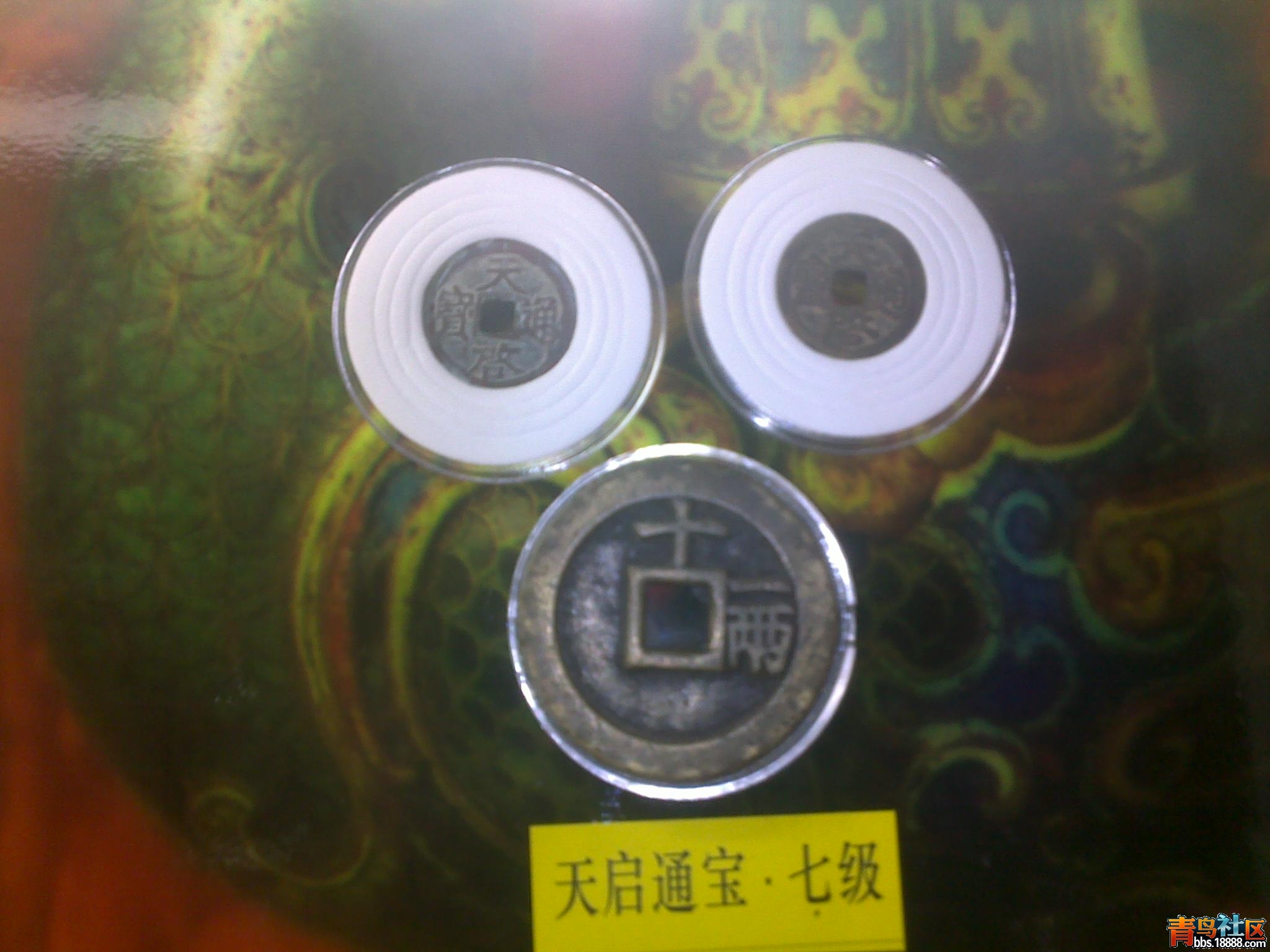 20121011244.jpg