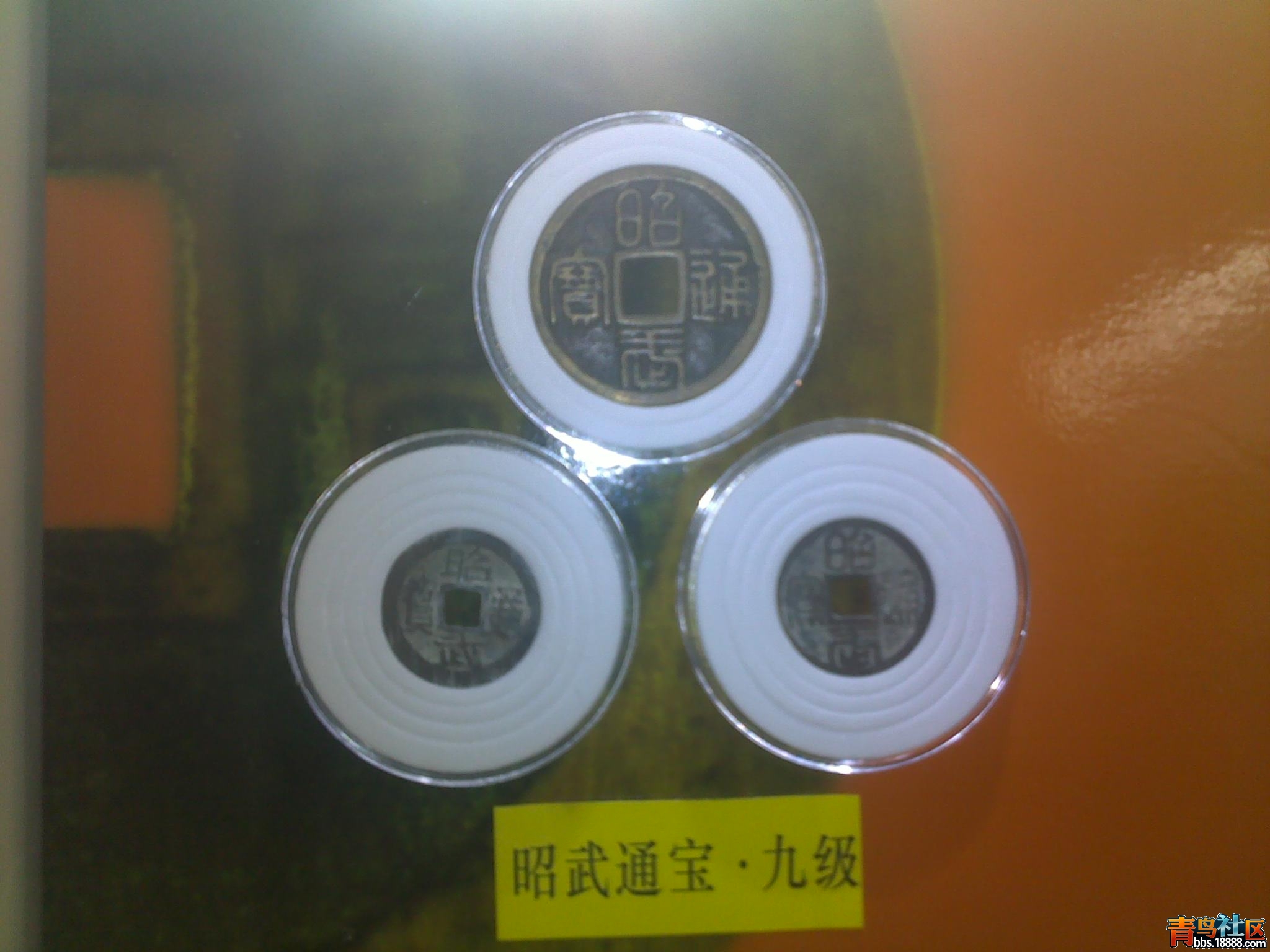 20121011232.jpg