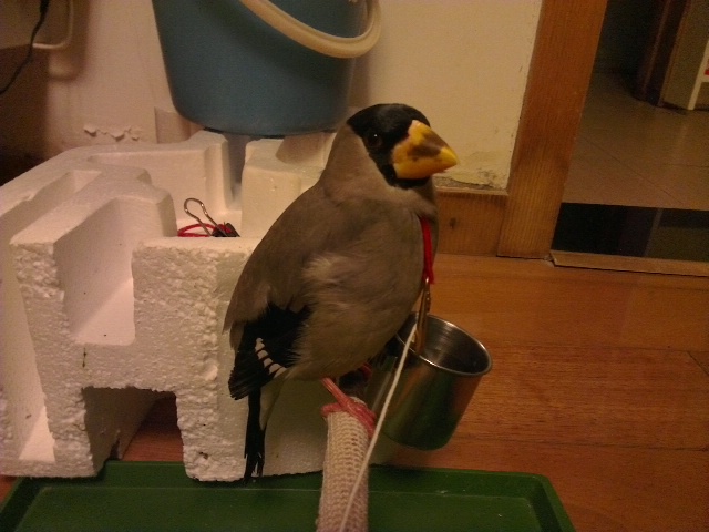 IMAG0454.jpg