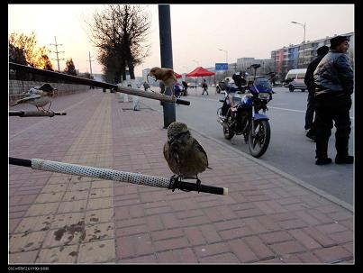 nEO_IMG_DSC01324.jpg