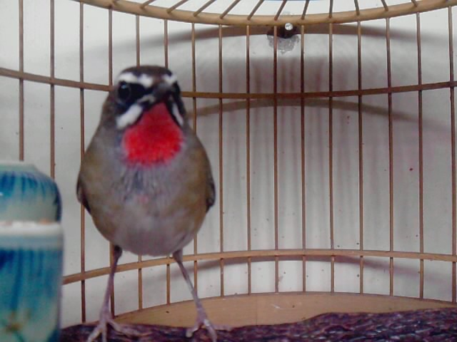 P030109_21.11_[01].jpg