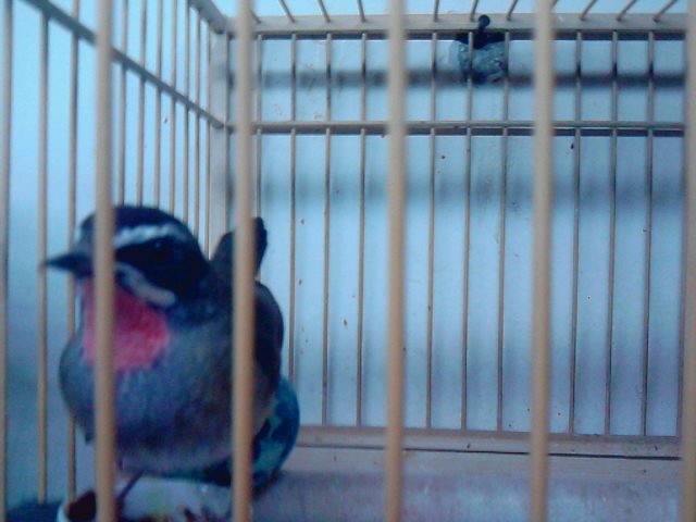 P020109_00.07.jpg