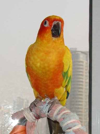 DSC04270.jpg
