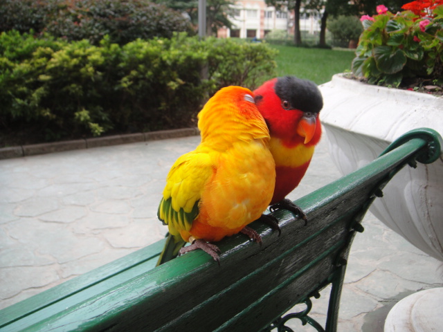 DSC00883.JPG