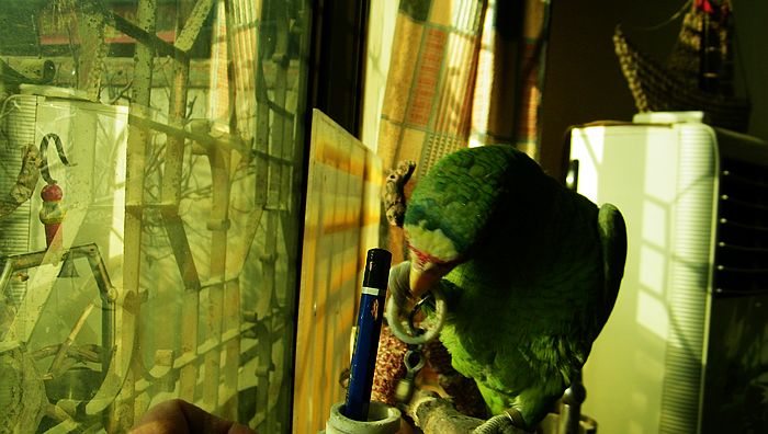 nEO_IMG_100_2598.jpg
