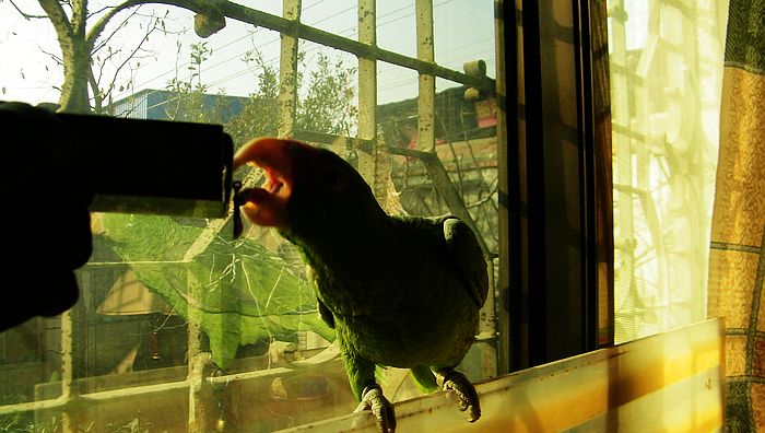 nEO_IMG_100_2580.jpg
