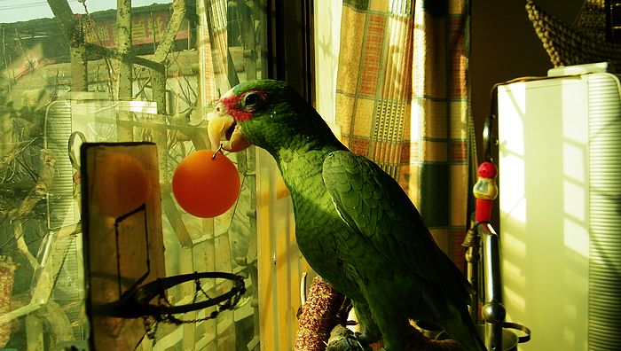 nEO_IMG_100_2606.jpg
