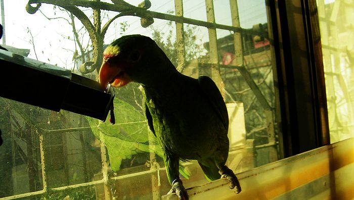 nEO_IMG_100_2582.jpg