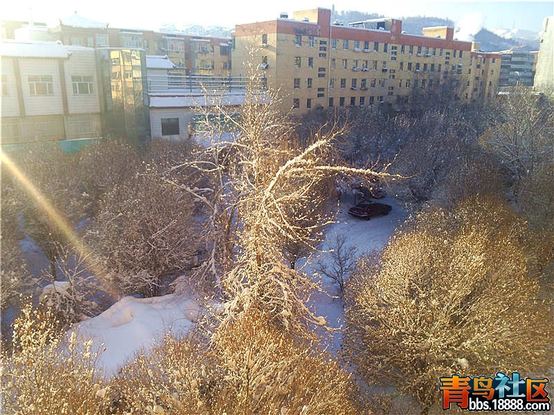 P21204-112255_副本.jpg