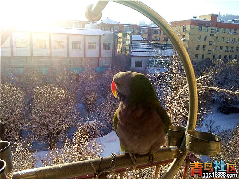 P21204-113930_副本.jpg
